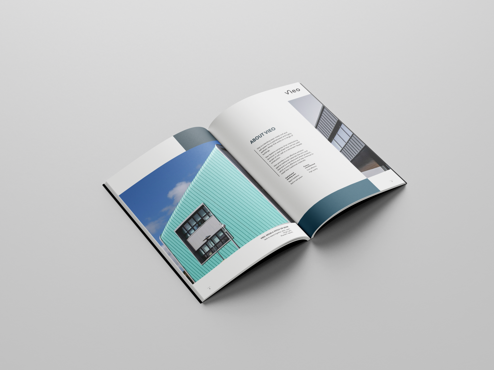 VIEO_Brochure mockup 2