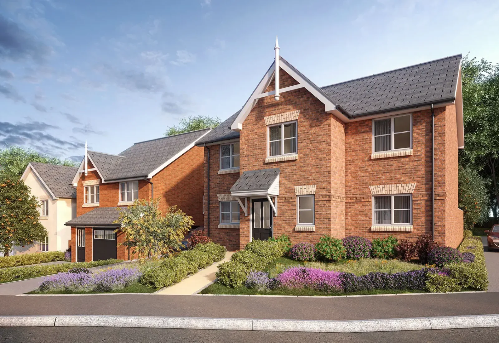 221109-WHO-MSH1-GL-HAZEL