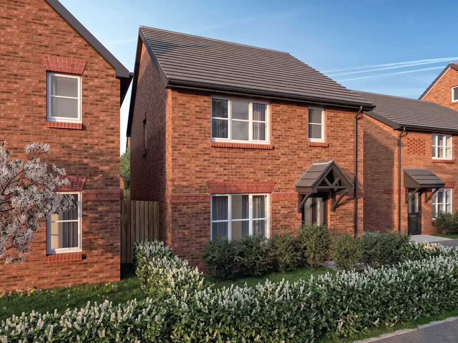 230602-WHO-HWG1-GL-CORAL