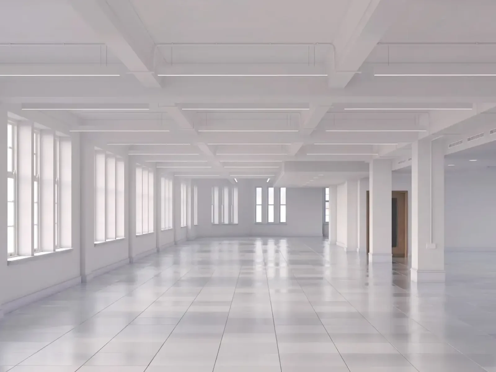 241127-ANO-SHO-SHO21-CATA-RISED-VD