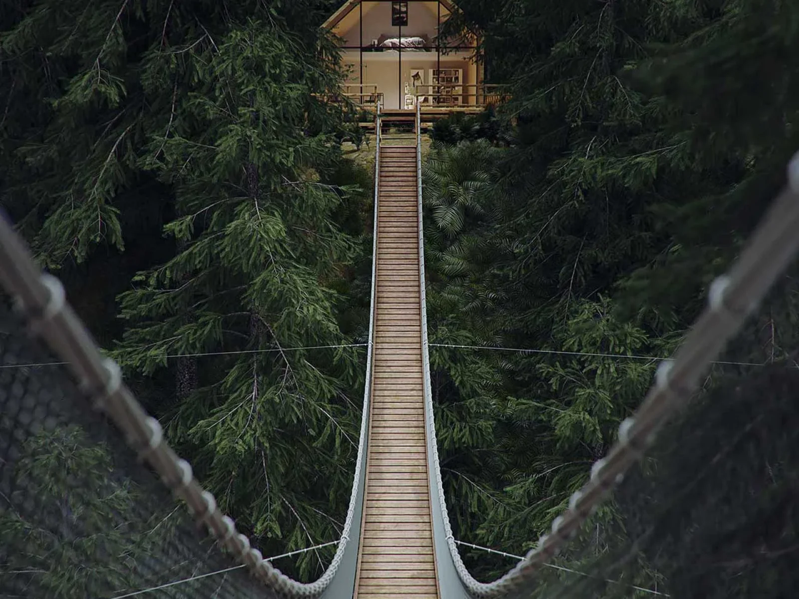 Art Of The Possible, AOP | Art of the Possible treetop_1